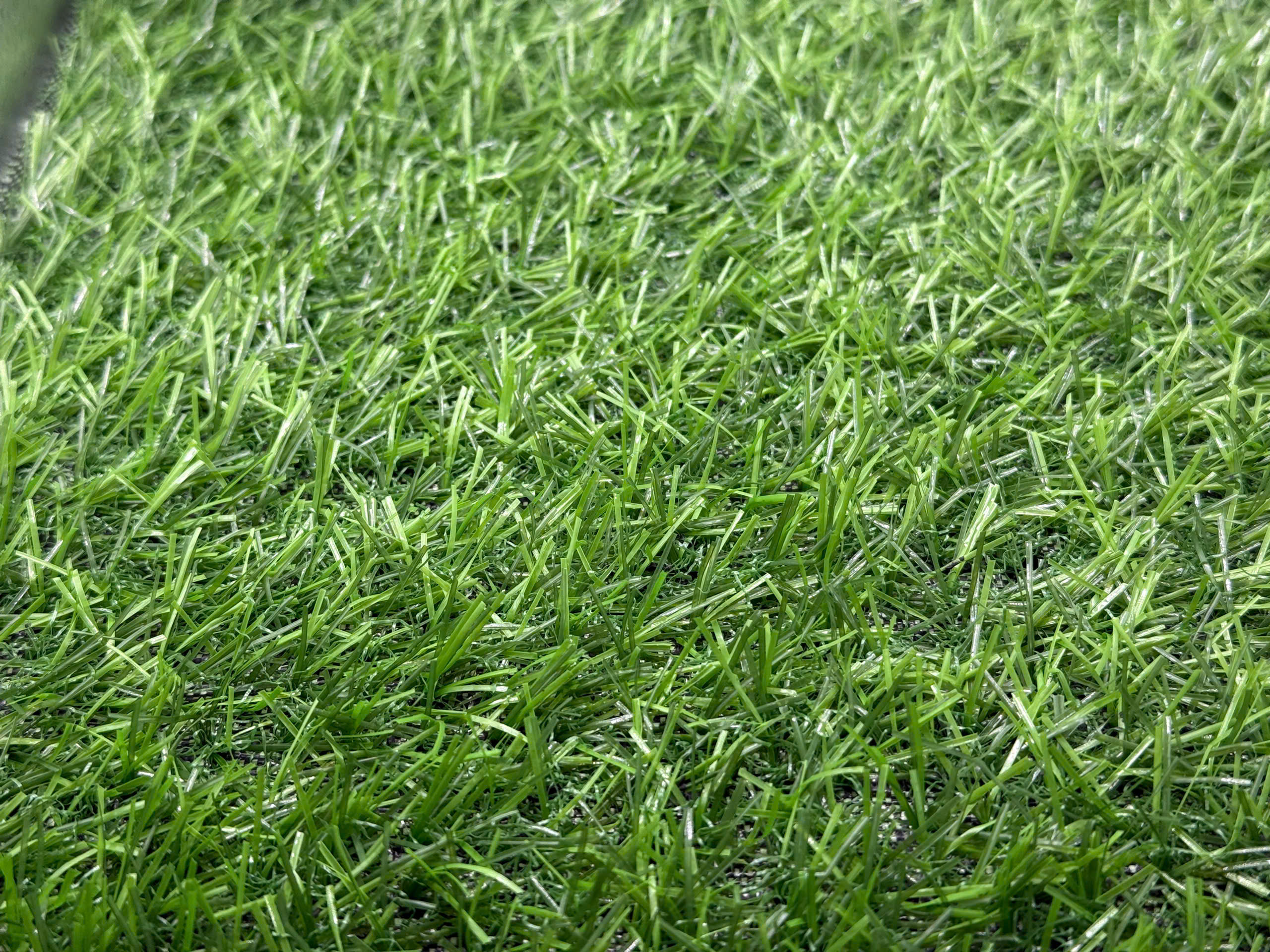 Eco Landscape — Cỏ trang trí tiết kiệm