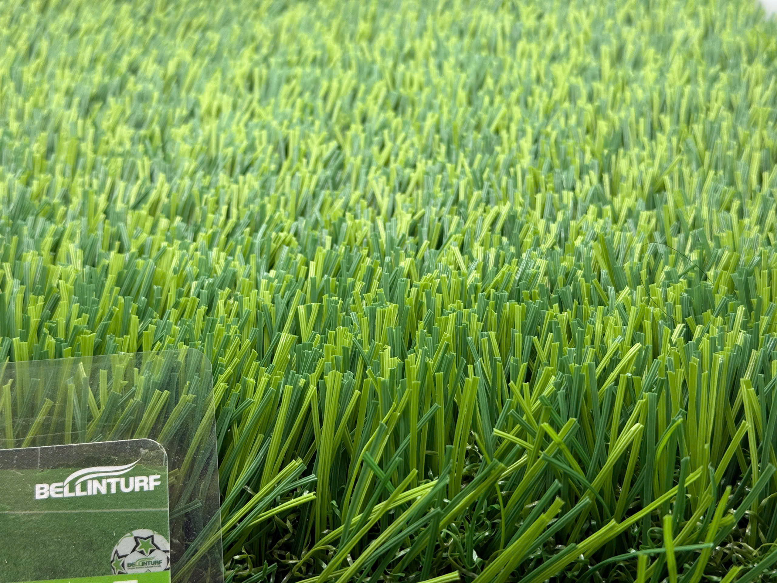 Nhà máy Bellinturf Tiền Giang