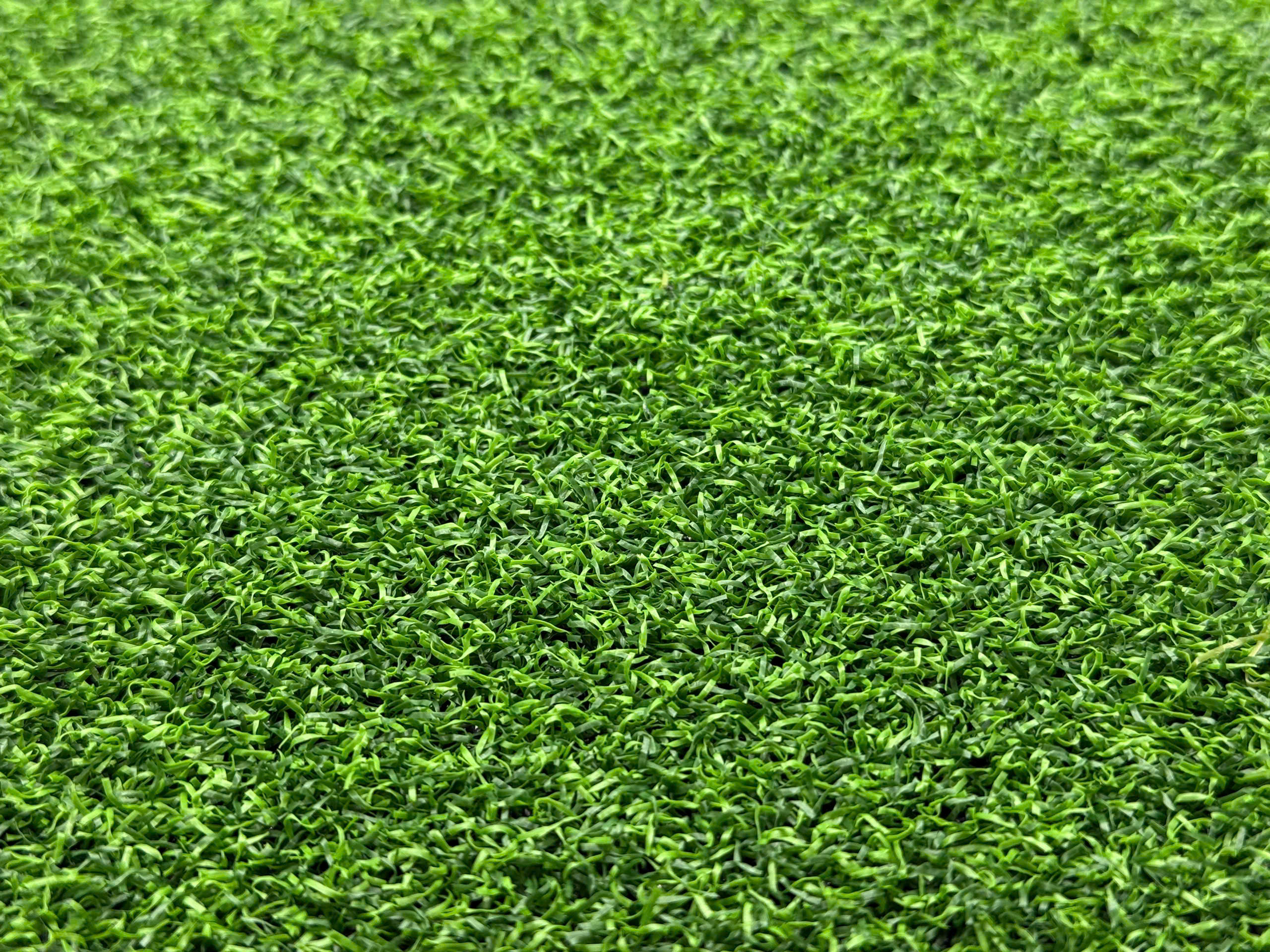 Bellin Golf Grass — Cỏ golf chuyên dụng