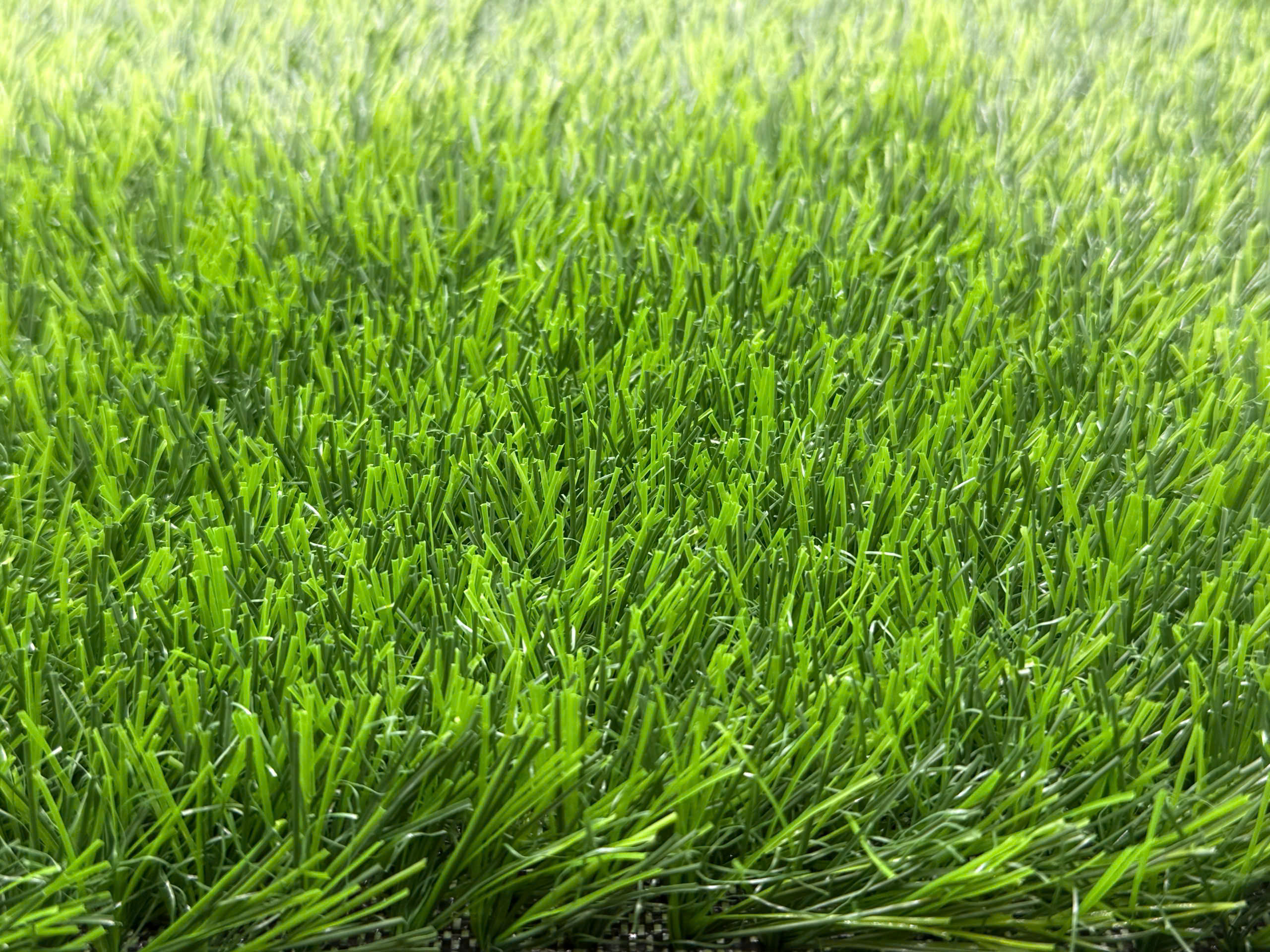 Landscape for Home — Cỏ sân vườn cho gia đình - Cỏ nhân tạo 20mm Bellinturf