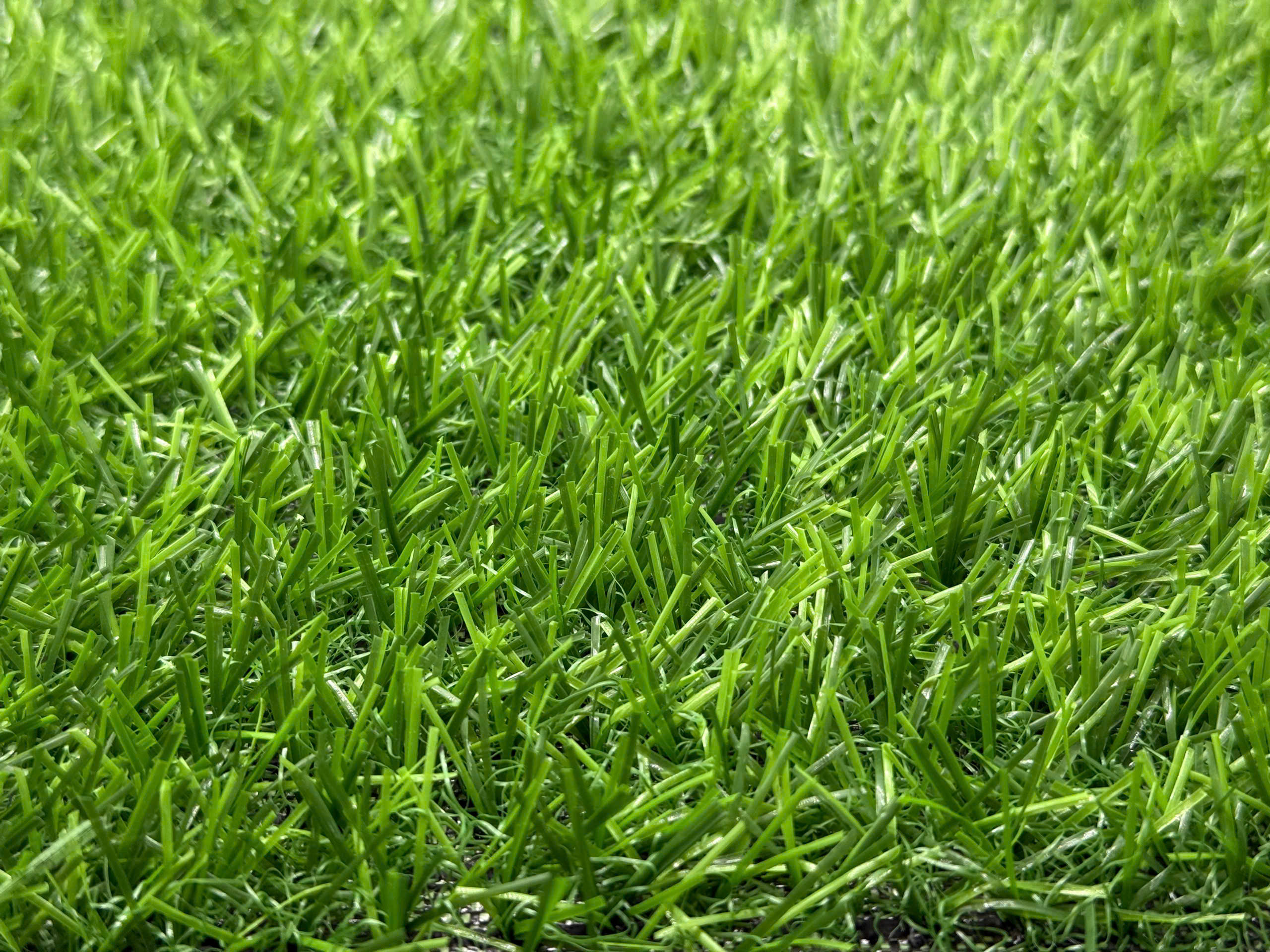 Landscape Medium Grade — Cỏ trang trí trung cấp