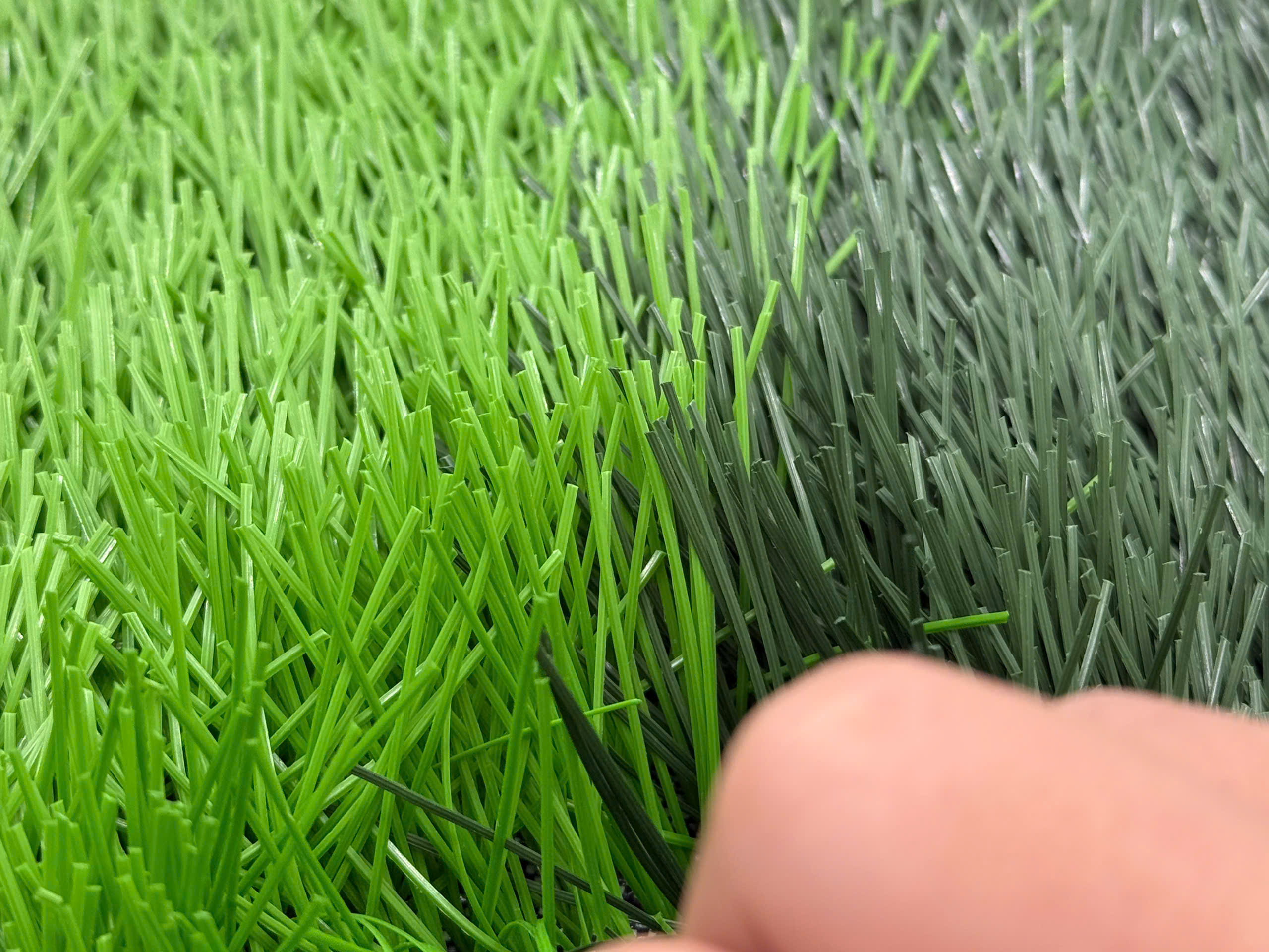 Bellin Sea Turf