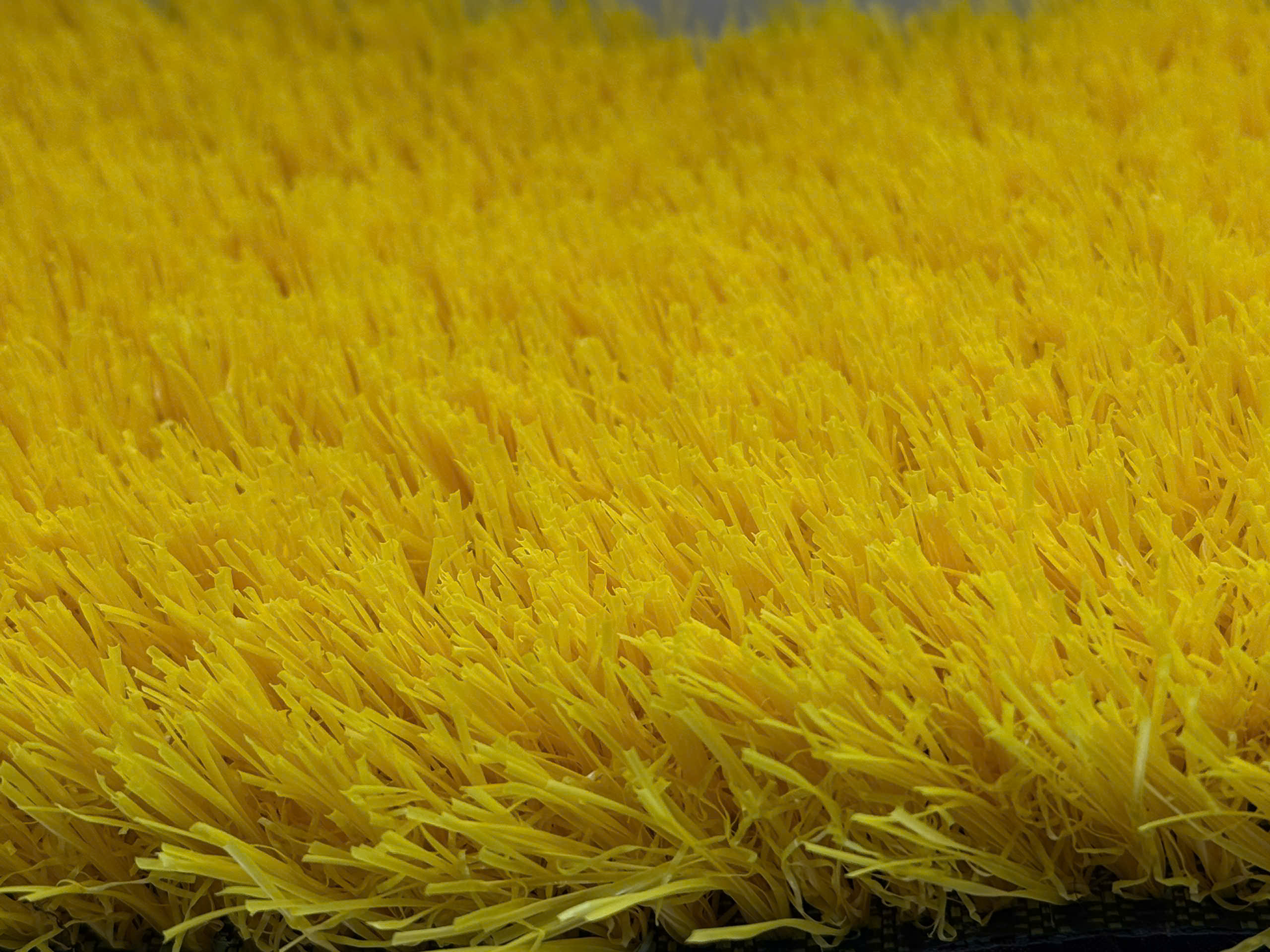 Bellin Yellow Turf — Cỏ vàng