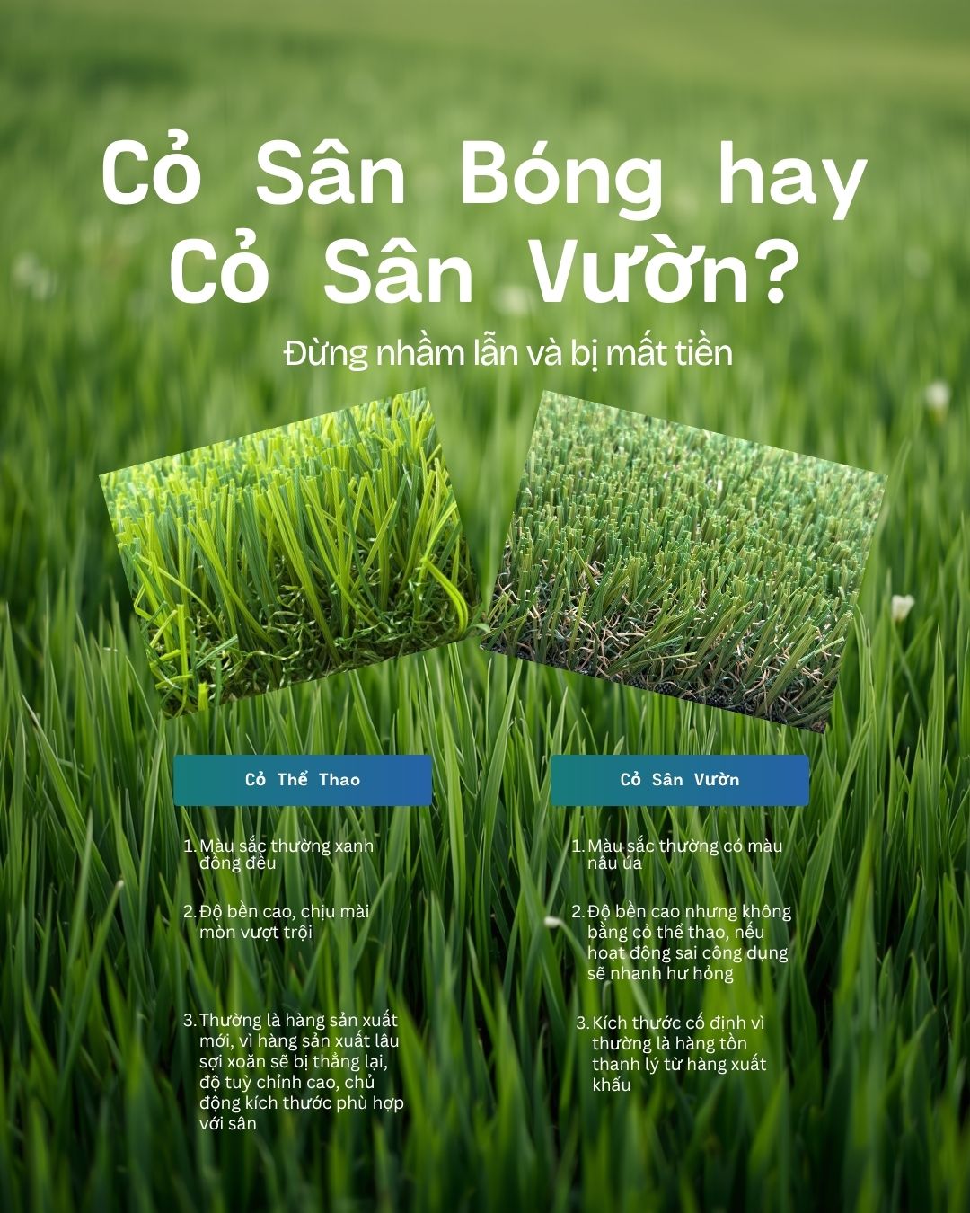 So sánh cỏ nhân tạo sân bóng đá vs cỏ sân vườn